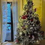 біла ведмедиця *