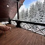 біла ведмедиця *