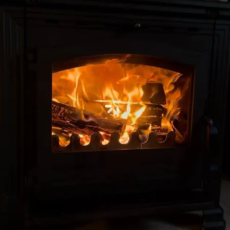 біла ведмедиця בקתה