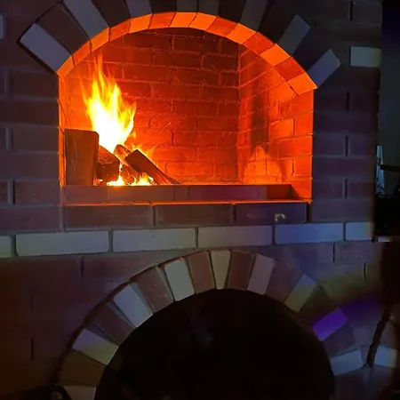 біла ведмедиця