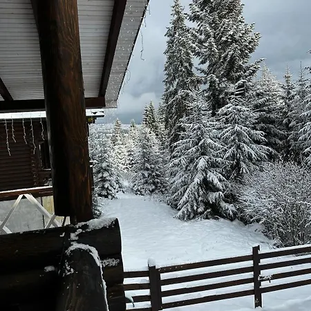 בקתה біла ведмедиця *