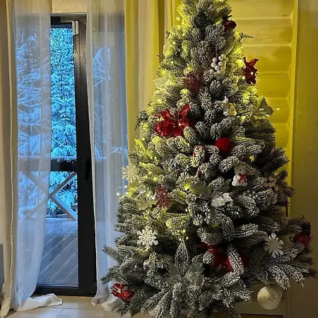 біла ведмедиця *