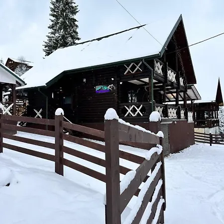 біла ведмедиця בקתה