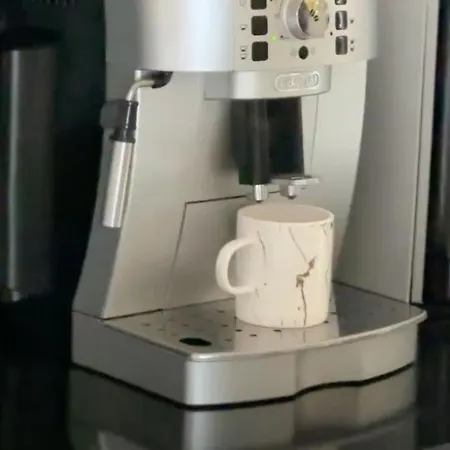 בקתה біла ведмедиця