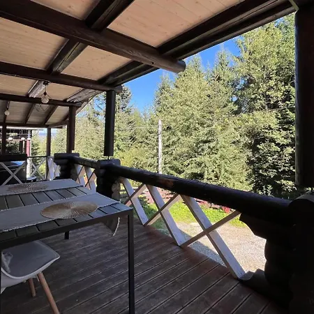 біла ведмедиця * יבלוניצה