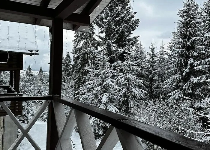 біла ведмедиця Chalet
