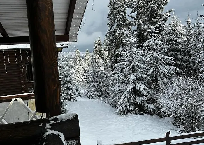 Chalet біла ведмедиця *