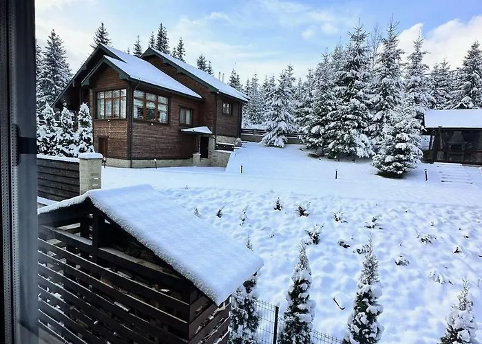 Chalet біла ведмедиця Yablunytsia
