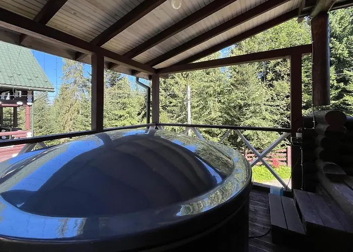 Chalet біла ведмедиця Yablunytsia